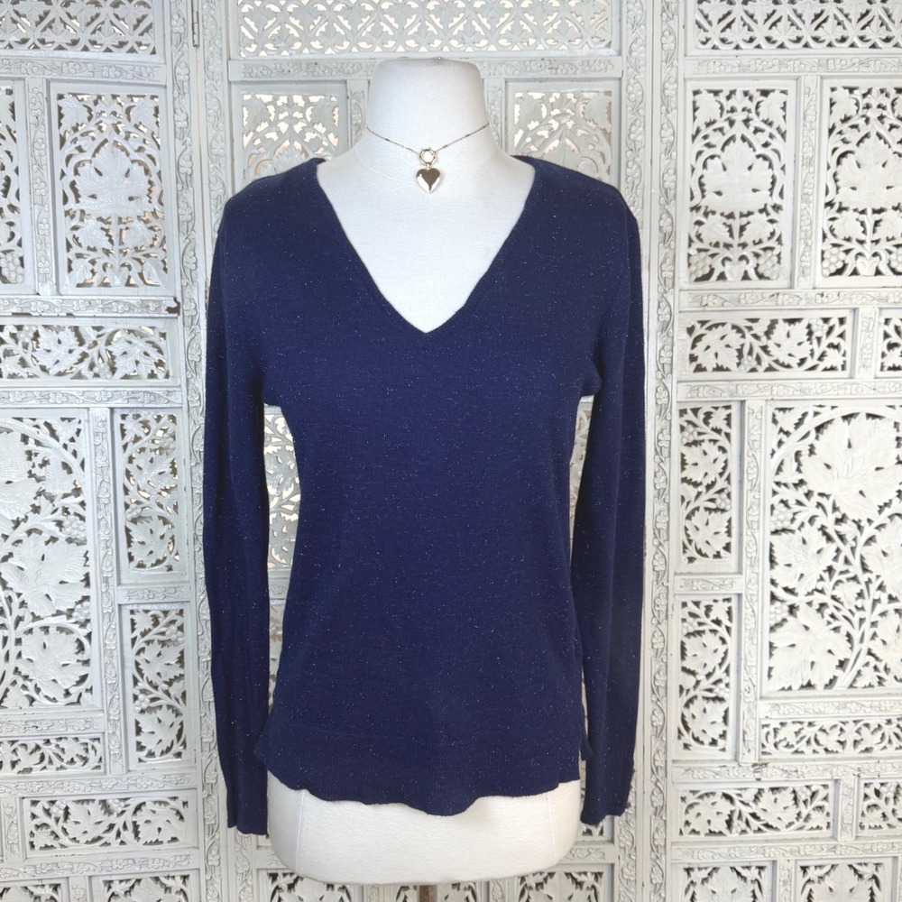 Calliope Navy Blue‎ Metallic Sweater Womens Medium V Neck Ribbed Luxury